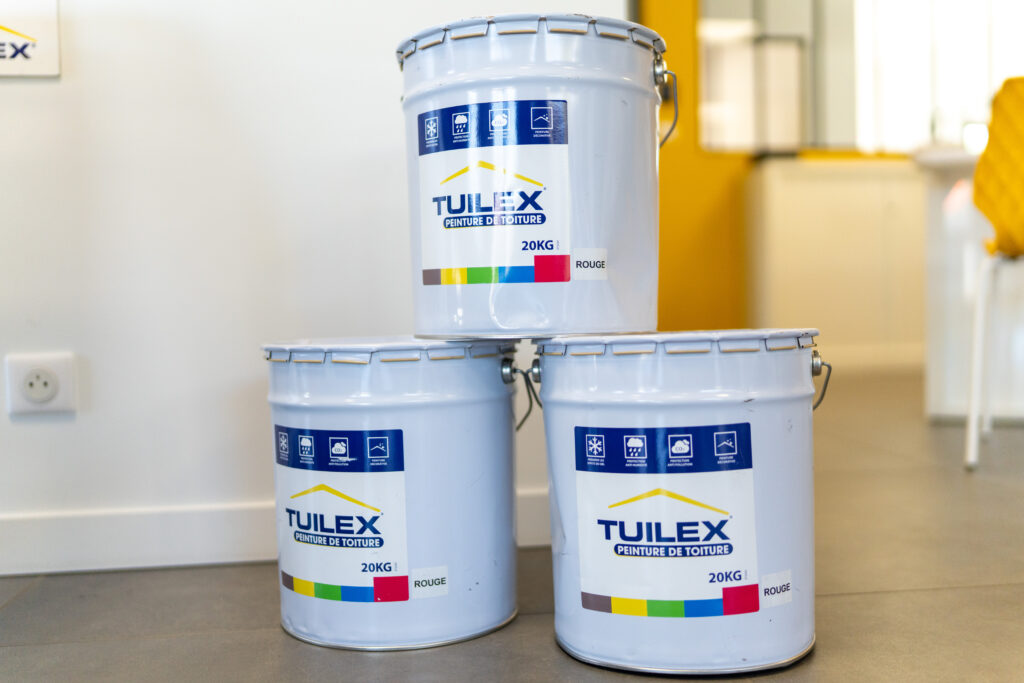 Peinture de toit TUILEX